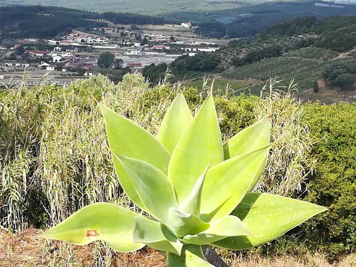 Vila Casal Mala-Posta Rio Maior Exteriér fotografie